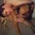 Susan Porter Maiwela's profile image