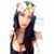 Fabiola Nunez's profile image