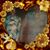 Lottie Proper's profile image