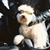 Glenn Rose's profile image