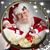 Marcy Kneip-alBeirakdar's profile image
