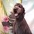 Patti Meyer McEachron's profile image