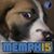 Cynthia Timberlake's profile image