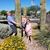 Tammy Verheyen-Braun's profile image
