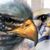 Kevin Moore's profile image