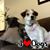 Marianne Mckee's profile image