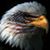 Charles Harvey's profile image