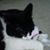 Mary Jones's profile image