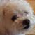 Elizabeth Smith's profile image