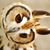 John Desch's profile image