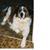 Michael Delaney's profile image