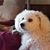 Kay Radermacher's profile image
