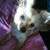 Judi Joseph's profile image