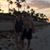 Brad Eichelberger's profile image