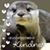 Kim Day's profile image