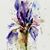 Joanna Petersen's profile image