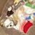 Tina Pontius Rowe's profile image