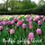 G Tere Le's profile image