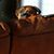 Lee Ann Ennen's profile image