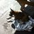 Stacy Beaird Doyle's profile image