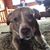 Kellie Louviere's profile image