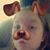 Cheyenne Adams's profile image