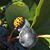 Susan Bowdren Wilkerson's profile image