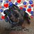 Matt Ashley Taylor's profile image