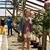 Grace Jacobson's profile image