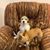 Mahaley Clark's profile image