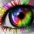 June Lederer Zieger's profile image