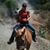 Cary Jo Collins's profile image