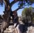 Cristina Nicholson's profile image