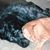 Carol Leonhardt's profile image