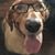 Jason Mink's profile image