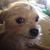 Pat Allman's profile image
