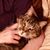 Alison Chriestenson Rue's profile image
