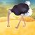 Candace English's profile image