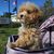 Stephen Dugay's profile image