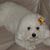 Shirley Phillips's profile image