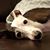 Cate Netto's profile image