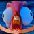Chris Schutte's profile image