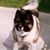 Linda-Rose Smuckler Sternfeld's profile image