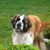 Laurie Schuh's profile image