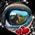 Darci Kalish's profile image