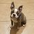 Tony N Ginger Johnson's profile image