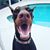 Debra M Dubinski's profile image