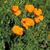 Marsha Bentley's profile image