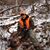 Jamie Buzard's profile image