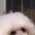 Robert Moran's profile image